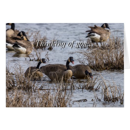 Denken Sie an Ihre Karte (Vorderseite (Horizontal))