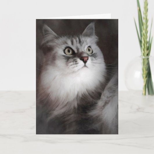 Denken Sie an Ihre Karte (Vorderseite)