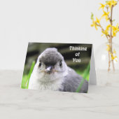 Denken Sie an Ihre Karte (Gelbe Blume)