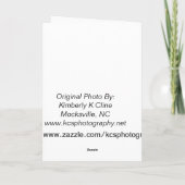 Denken Sie an Ihre Karte (Rückseite)