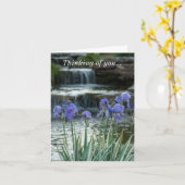 Denken Sie an Ihre Karte - Iren im Chateau (Gelbe Blume)