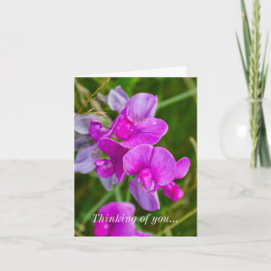 Denken Sie an Ihre Karte - Lila Orchideen