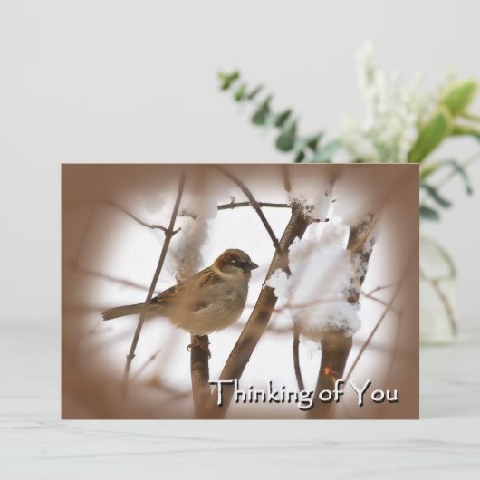 Denken Sie an Ihre Karten - Braun mit Vogel (Stehend Vorderseite)