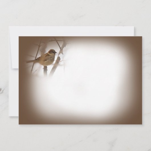 Denken Sie an Ihre Karten - Braun mit Vogel (Rückseite)