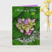 Denken Sie an Ihre Lila und rosa Blume Karte (Gelbe Blume)