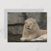 Denken Sie an Ihre Löwe-Liebe Postkarte (Vorne/Hinten)