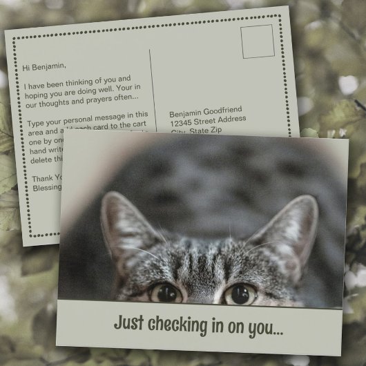 Denken Sie an Ihre Niedliche Cat Caption Template Postkarte