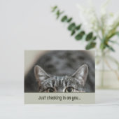 Denken Sie an Ihre Niedliche Cat Caption Template  Postkarte (Stehend Vorderseite)