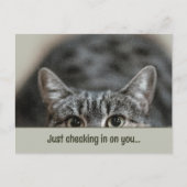 Denken Sie an Ihre Niedliche Cat Caption Template Postkarte (Vorderseite)