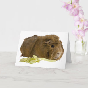 Denken Sie an Ihre Niedliche Guinea Schweinevorlag Karte