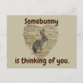 Denken Sie an Ihre Niedliche Sonne Miss You Freund Postkarte