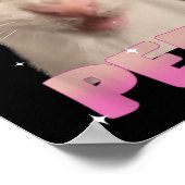Denken Sie an Ihre Pants Peed Albern Cat Meme Funn Poster (Ecke)