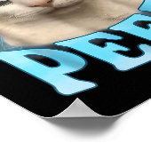 Denken Sie an Ihre Pants Peed Funny Freak Cat Meme Poster (Ecke)