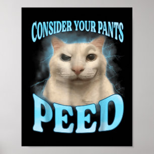 Denken Sie an Ihre Pants Peed Funny Freak Cat Meme Poster