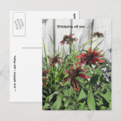 Denken Sie an Ihre Postkarte (Vorne/Hinten)