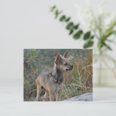 Denken Sie an Ihre Postkarte (Stehend Vorderseite)