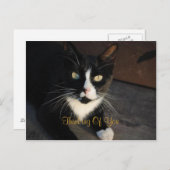 Denken Sie an Ihre Postkarte (Vorne/Hinten)