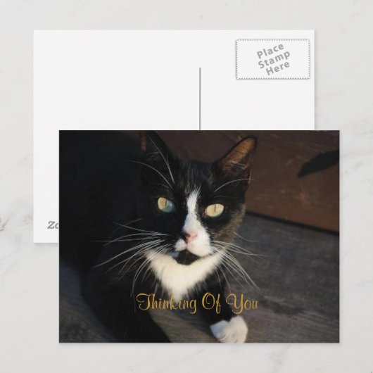 Denken Sie an Ihre Postkarte (Vorne/Hinten)