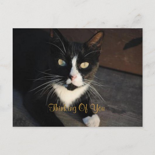 Denken Sie an Ihre Postkarte (Vorderseite)