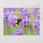 Denken Sie an Ihre Postkarte (Vorderseite)