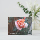 Denken Sie an Ihre Postkarte (Stehend Vorderseite)