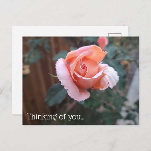 Denken Sie an Ihre Postkarte (Vorne/Hinten)