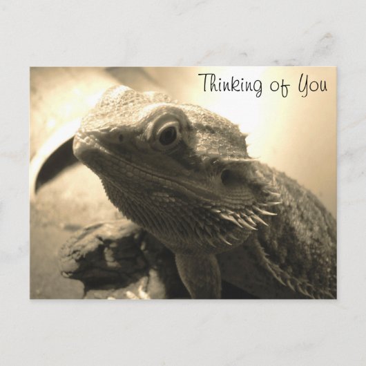 Denken Sie an Ihre Postkarte (Vorderseite)