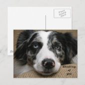 Denken Sie an Ihre Postkarte (Vorne/Hinten)