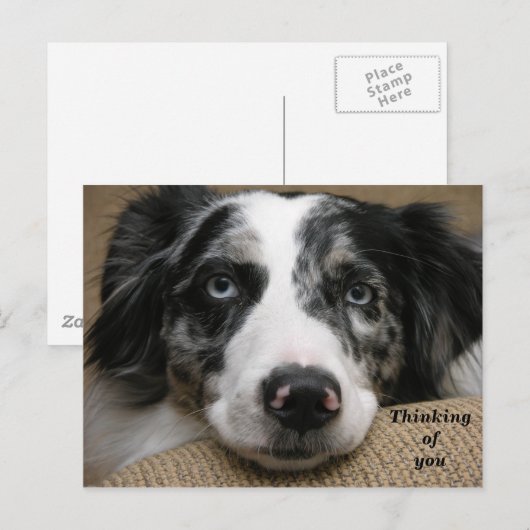 Denken Sie an Ihre Postkarte (Vorne/Hinten)