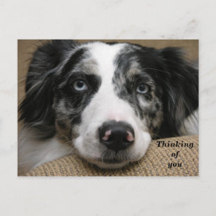 Denken Sie an Ihre Postkarte