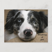 Denken Sie an Ihre Postkarte (Vorderseite)