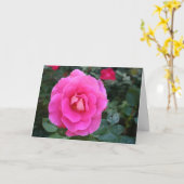 Denken Sie an Ihre rosa Rosenkarte Karte (Gelbe Blume)