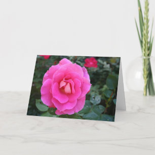 Denken Sie an Ihre rosa Rosenkarte Karte