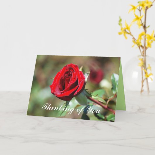 Denken Sie an Ihre Rote Rose Blank Card Karte (Gelbe Blume)