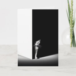 Denken Sie an Ihre weiße Katze im Schatten Karte