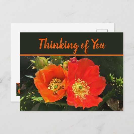 Denken Sie an Ihre Wüste Bloom Foto Cactus Blume Postkarte (Vorne/Hinten)