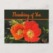 Denken Sie an Ihre Wüste Bloom Foto Cactus Blume Postkarte (Vorderseite)