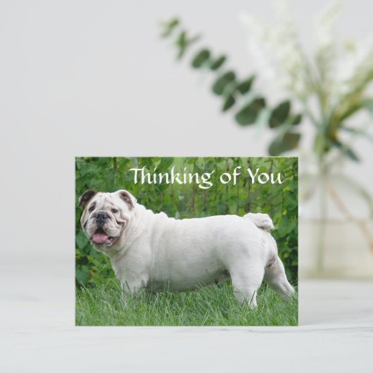 Denken Sie an Ihren englischen Bulldog Puppy Dog P Postkarte (Stehend Vorderseite)