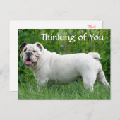 Denken Sie an Ihren englischen Bulldog Puppy Dog P Postkarte (Vorne/Hinten)