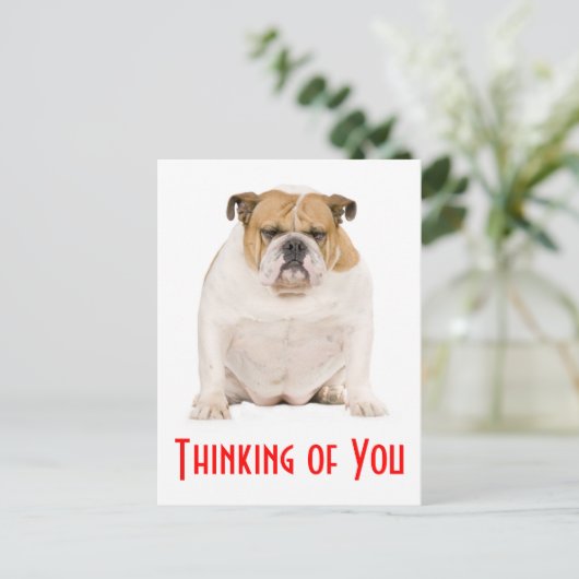 Denken Sie an Ihren englischen Bulldog Puppy Dog P Postkarte (Stehend Vorderseite)