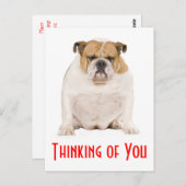 Denken Sie an Ihren englischen Bulldog Puppy Dog P Postkarte (Vorne/Hinten)