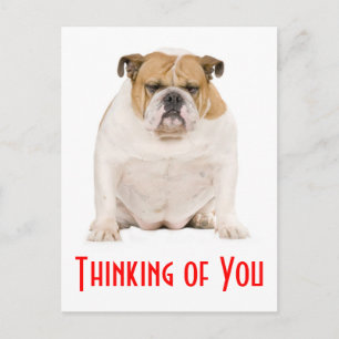 Denken Sie an Ihren englischen Bulldog Puppy Dog P Postkarte