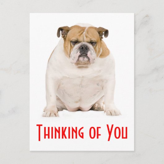 Denken Sie an Ihren englischen Bulldog Puppy Dog P Postkarte (Vorderseite)