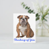 Denken Sie an Ihren englischen Bulldog Puppy Dog P Postkarte (Stehend Vorderseite)
