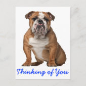 Denken Sie an Ihren englischen Bulldog Puppy Dog P Postkarte (Vorderseite)