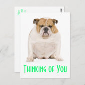 Denken Sie an Ihren englischen Bulldog Puppy Dog P Postkarte (Vorne/Hinten)