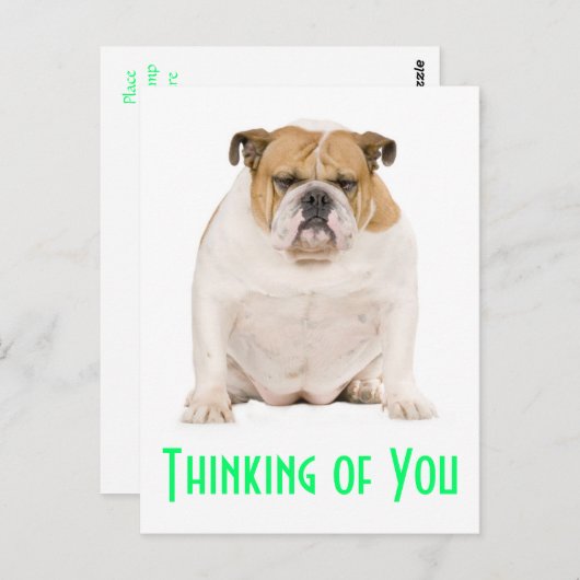 Denken Sie an Ihren englischen Bulldog Puppy Dog P Postkarte (Vorne/Hinten)