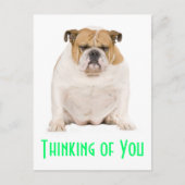 Denken Sie an Ihren englischen Bulldog Puppy Dog P Postkarte (Vorderseite)