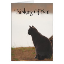 Denken Sie an Ihren Freund