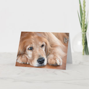 Denken Sie an Ihren Golden Retriever Karte
